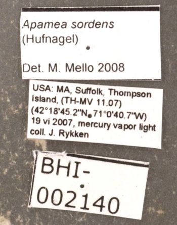Media type: image;   Entomology 622425 Aspect: labels